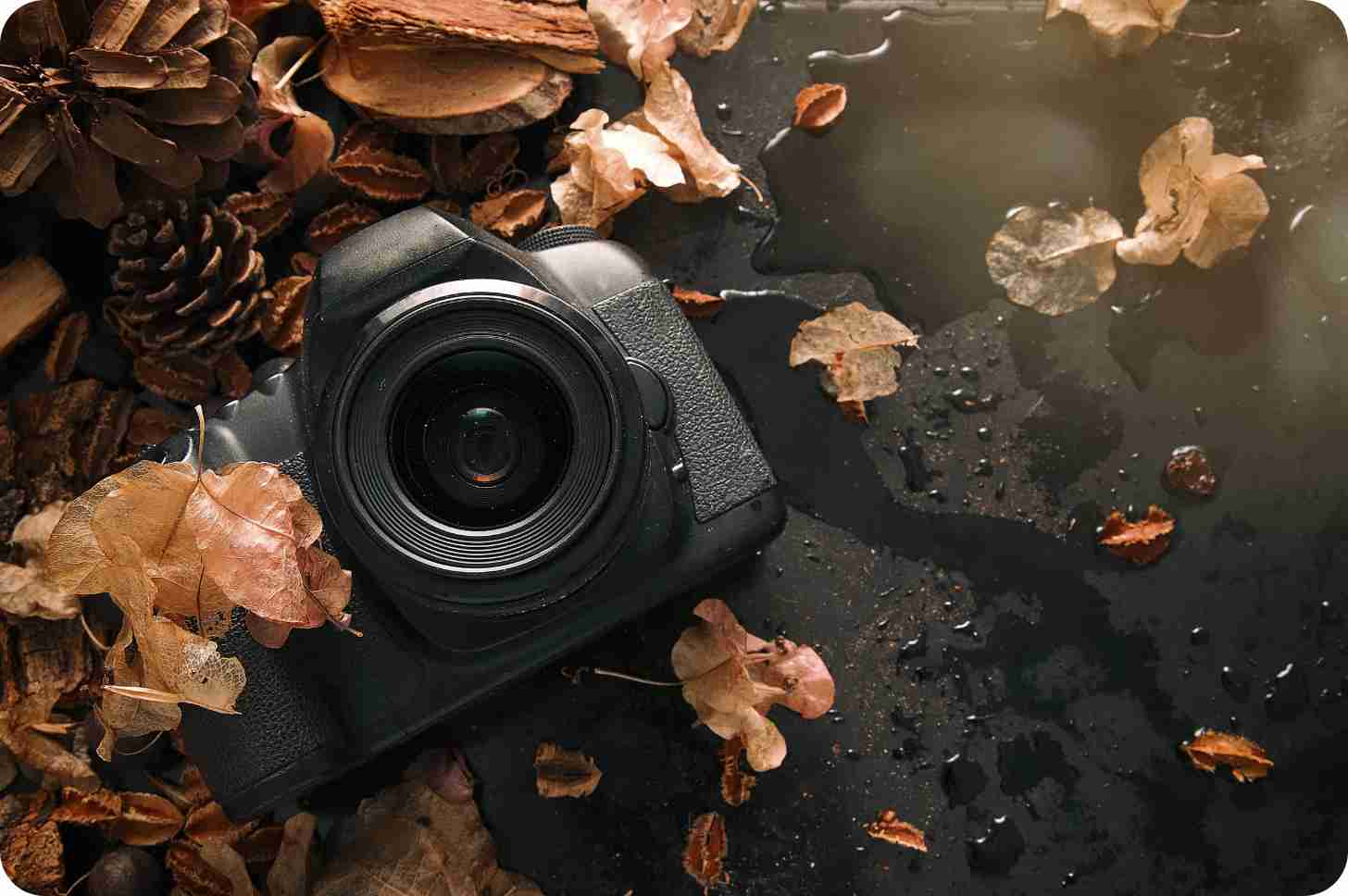 Hero image of a city skyline at night